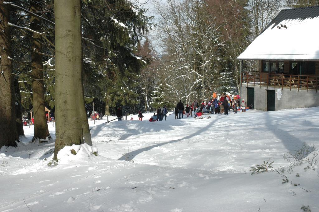 Gite Des Bois De