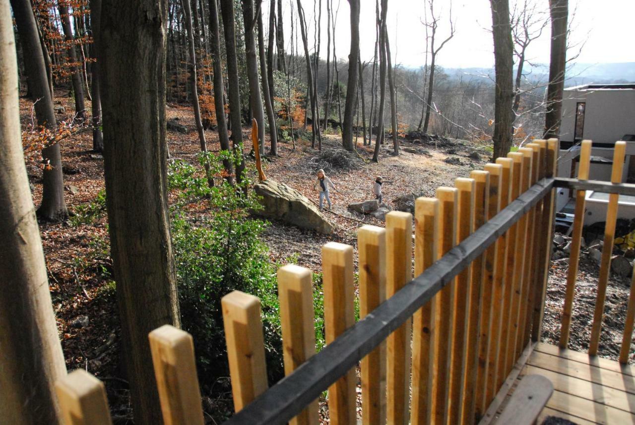 Gite Des Bois De *