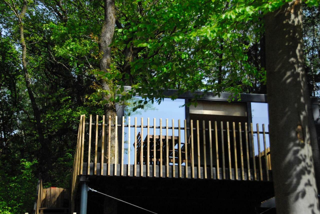 Gite Des Bois De *
