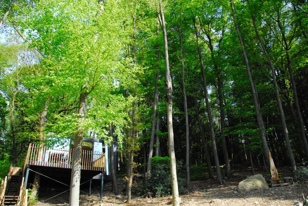 Villa Gite Des Bois De Spa